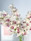 Томск, доставка: заказать охапку веток Cymbidium бело-розовых в MAKI