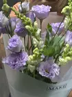 Заказать букет "Эльфийский сад" с доставкой по городу Томск