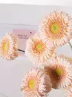 Мини-герберы Sweetness розовая охапка доставка Томск MAKI