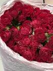 Букет из 11 красных кустовых роз заказать в Томске