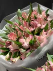 Доставить  Монобукет из нежно-розовых альстромерий  в Томске