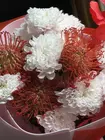 Заказать букет "Рубиновый акцент" с доставкой по городу Томск