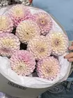 Букет из 9 бело-лиловых георгин заказать в Томске