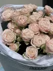Букет из 9 нежно-розовых кустовых роз заказать в Томске