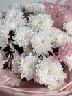 Заказать букет "Ванильный аккорд" с доставкой по городу Томск