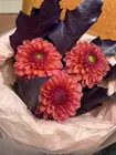 Заказать букет на 1 сентября в Томске