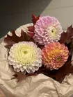 свежие цветы для школьников Томск,