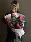 Оформить заказ на протеи в Томске с доставкой