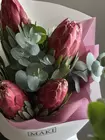 Заказать букет с протеями в Томске