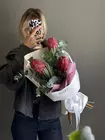 Купить красные протеи в Томске