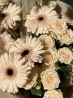 Заказать букет "Бежевый бархат" с доставкой по городу Томск