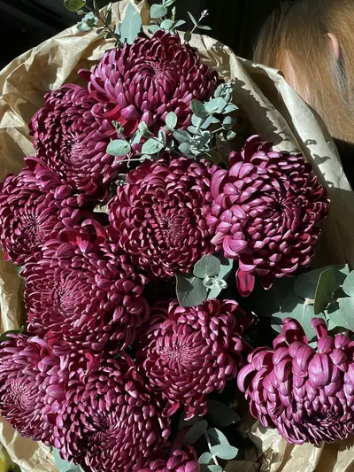 ЗаказатьМонобукет из хризантем "Purple" в Томске