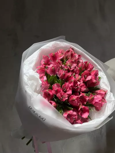 Доставить м Монобукет из ярко-розовых альстромерий  в Томске