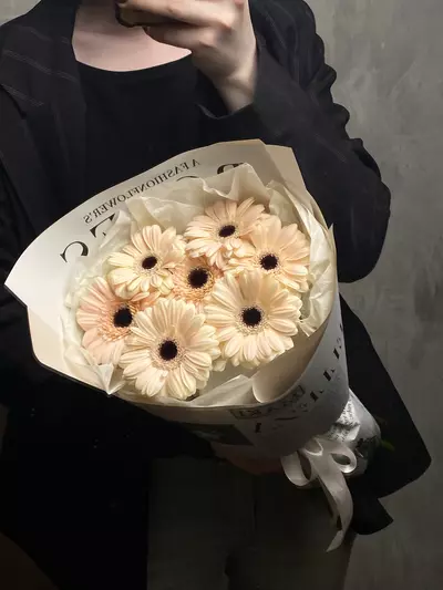 Купить Монобукет из мини гербер "Macaroon" с доставкой в Томске