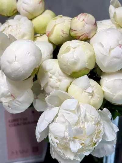 Охапка пионов Bowl of Cream кремово-белого цвета доставка Томск.