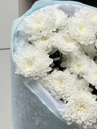 Букет из 7 кустовых хризантем  заказать в Томске
