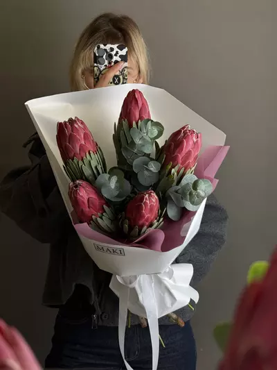 Купить красные протеи в Томске