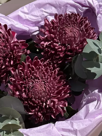Доставка букета из одиночных хризантем Bigoudi Purple в городе Томск