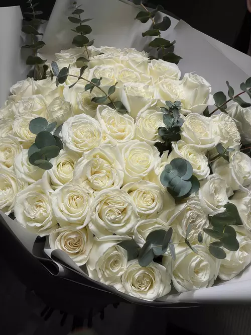 Купить  Букет из 51 белой розы "Плайа Бланка" в Томске на 8 Марта