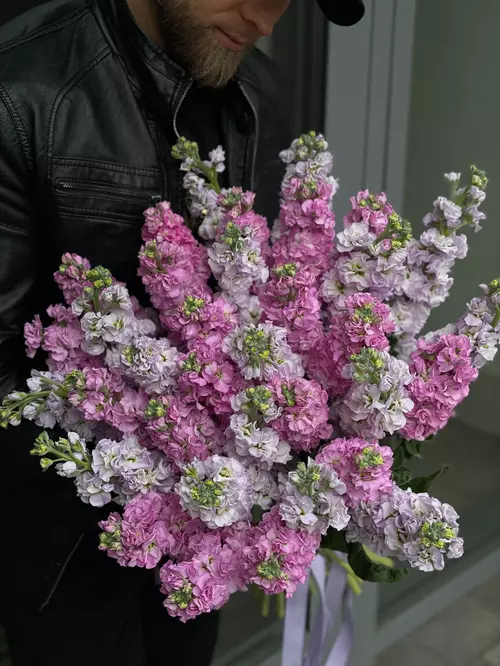 Сиреневыеи розовые маттиолы купить в Томске