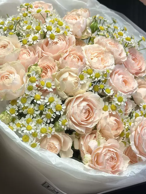 Заказать Дуобукет из розовой кустовой розы и матрикарии в Томске