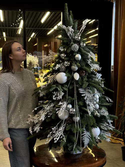 Купить Новогодняя ель "Ледяная грация" в Томске