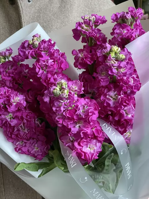 Заказать букет из 7 малиновых маттиол с доставкой по городу Томск