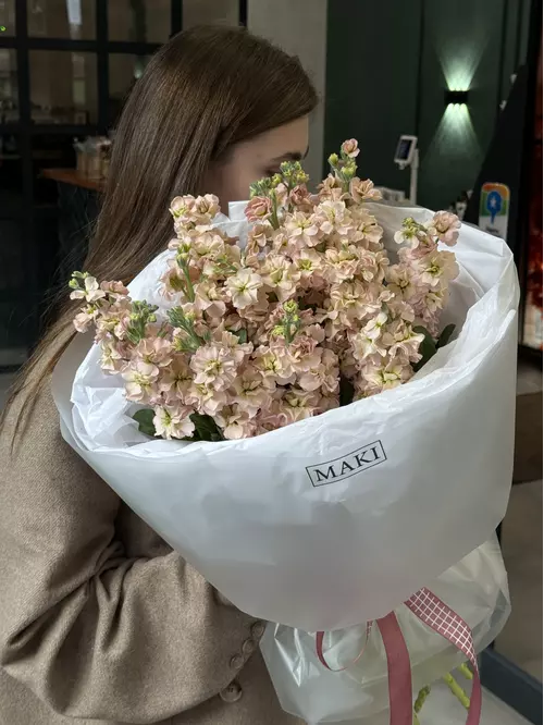 Купить Букет из 15 пудрово-персиковых маттиол в Томске