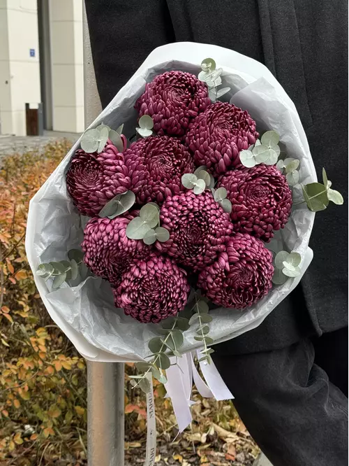 Заказать букет из 9 одиночных хризантем Bigoudi Purple с эвкалиптом с доставкой по городу Томск