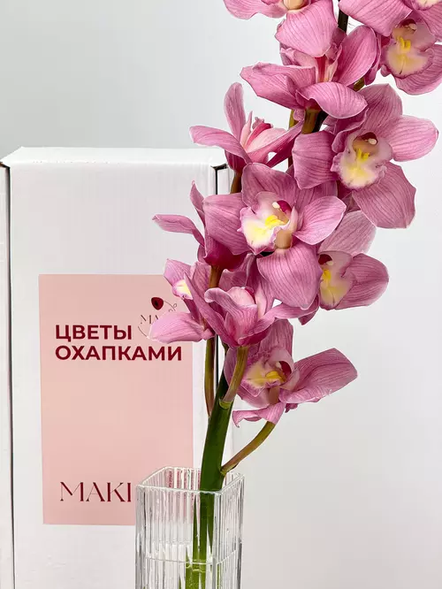 Заказать доставку ветки Cymbidium в Томске