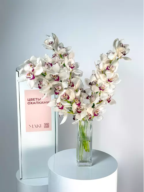 Томск: заказать охапку веток Cymbidium 3 ветки — доставка MAKI
