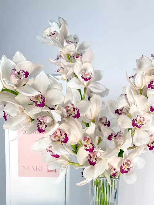 Томск, доставка: заказать охапку веток Cymbidium бело-розовых в MAKI