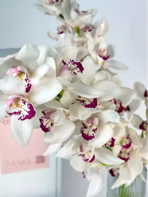 Охапка веток орхидеи Cymbidium в Томске — заказать, доставка