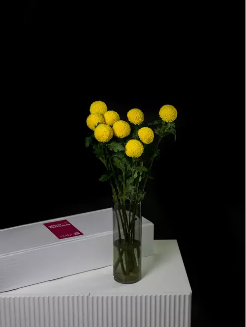 Охапка желтых хризантем Ping Pong Golden, доставка в Томске — заказать МАКИ.